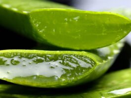 aloe-vera-benefici
