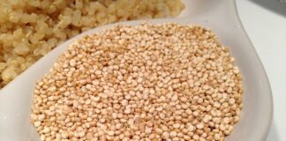 quinoa-benefici