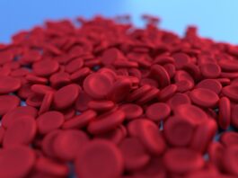 anemia-cause-rimedi
