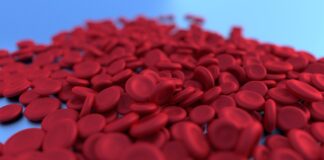 anemia-cause-rimedi