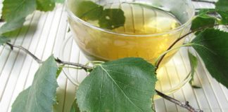 tisana-betulla