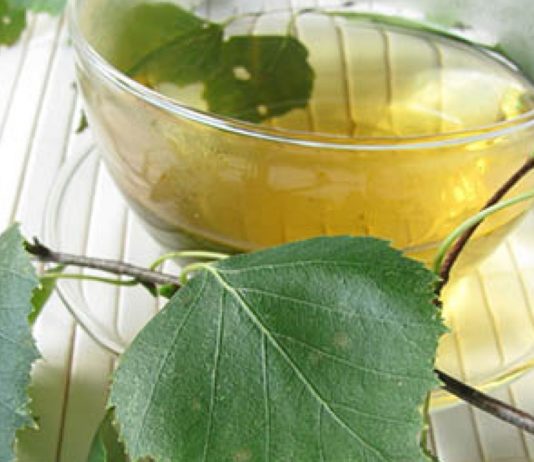 Rimedi anticellulite: i benefici della tisana alla betulla tisana-betulla