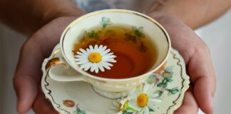 tisana-vite-rossa-anticellulite