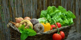verdure-di-stagione-mese-per-mese
