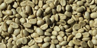 caffe-verde-proprieta
