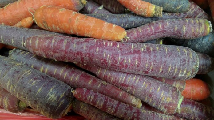 carote-viola-benefici