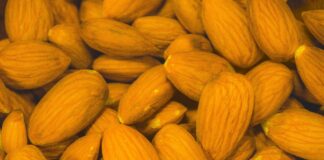 frutta-secca-benefici