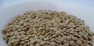 lenticchie-benefici
