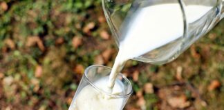 proteine-latte-siero-benefici