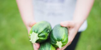zucchine-per-perdere-peso