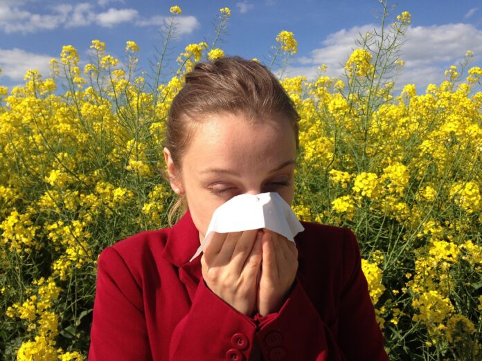 allergia-polvere