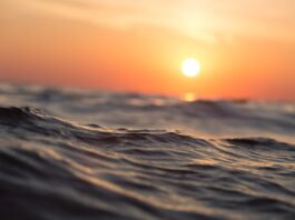 Mal di mare: cause, sintomi e rimedi naturali per farvi fronte mal-di-mare-rimedi