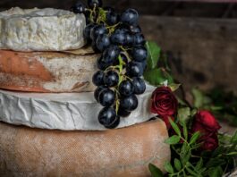 cibi-fermentati