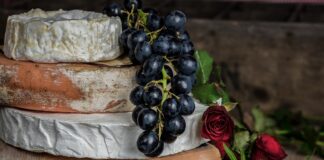 cibi-fermentati
