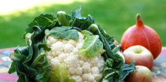 cibi-ricchi-di-fibre