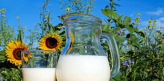 latte-avena-benefici-proprieta