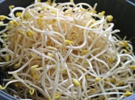 germogli-di-soia-benefici-proprieta-valori-nutrizionali