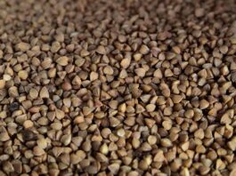 grano-saraceno-benefici-proprieta