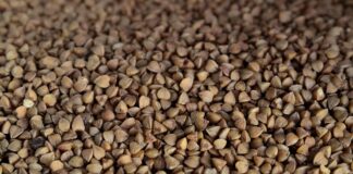 grano-saraceno-benefici-proprieta