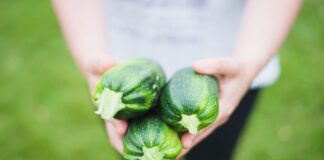 zucchina-proprietà-benefici-valori nutrizionali