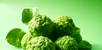 Olio essenziale di bergamotto: benefici e utilizzo olio essenziale di bergamotto