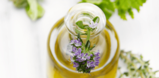 olio essenziale di timo