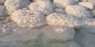 sali-del-mar-morto-come-si-usano-dove-si-comprano