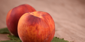 pesca propriet&agrave; e benefici
