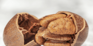 noci pecan propriet&agrave; e benefici