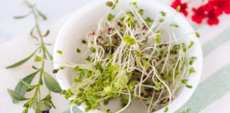 Germogli di broccoli