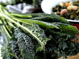 Cavolo nero