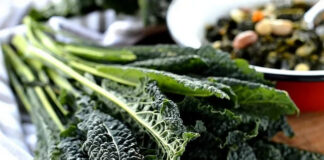Cavolo nero