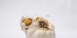 bocca amara