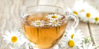 Infuso di camomilla