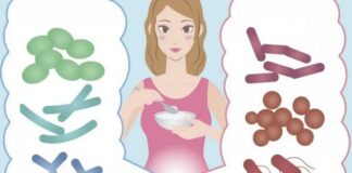 Probiotici e prebiotici