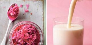 Kimchi e Kefir