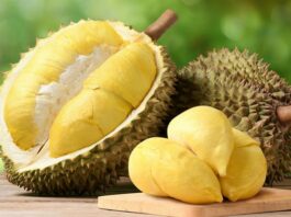 Durian