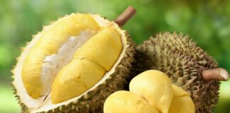 Durian