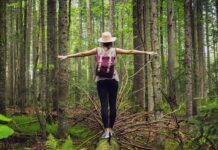 Bagni di foresta: benessere olistico per corpo e mente