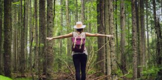 Bagni di foresta: benessere olistico per corpo e mente