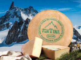 Fontina DOP