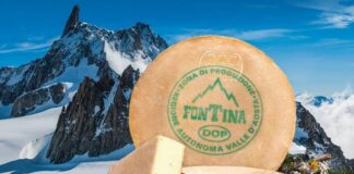 Fontina DOP