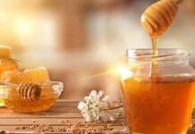 Benefici nascosti del miele di Manuka: proprietà e usi terapeutici