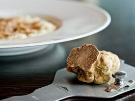 Tartufo bianco D'Alba