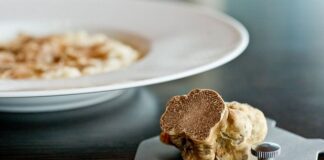 Tartufo bianco D'Alba