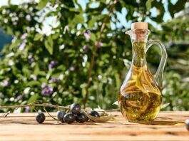 Superfood locali: olio extravergine di oliva DOP, l’oro verde del Molise Olio extravergine di oliva Molise