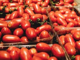 Superfood locali: il Pomodoro San Marzano DOP dell&rsquo;Agro Sarnese-Nocerino