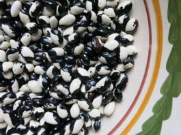 Superfood locali: Fagioli badda di Polizzi Generosa, preziosi alleati della salute