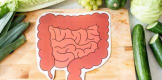 L'importanza dell'alimentazione prebiotica: come i cibi ricchi di fibre aiutano il microbiota