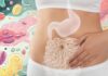 SIBO: perché alcuni cibi sani danno gonfiore Disbiosi intestinale silente: sintomi non digestivi da non sottovalutare